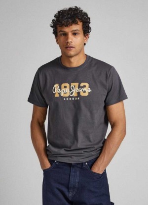 Camiseta Pepe Jeans 1973 Logo T-shirt Hombre Gris | 465RZNABF