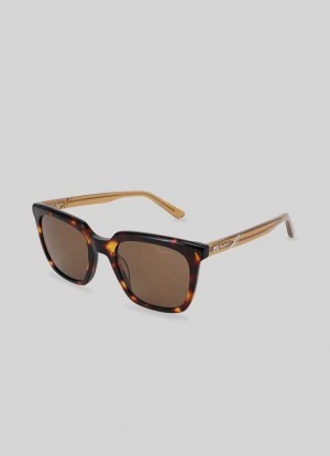 Gafas de Sol Pepe Jeans Wayfarer Sunglasses Mujer Doradas | 812VNJHSK